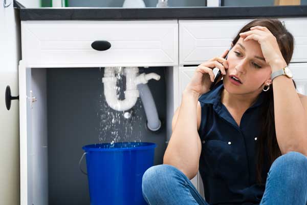 Plumbing Repair Services